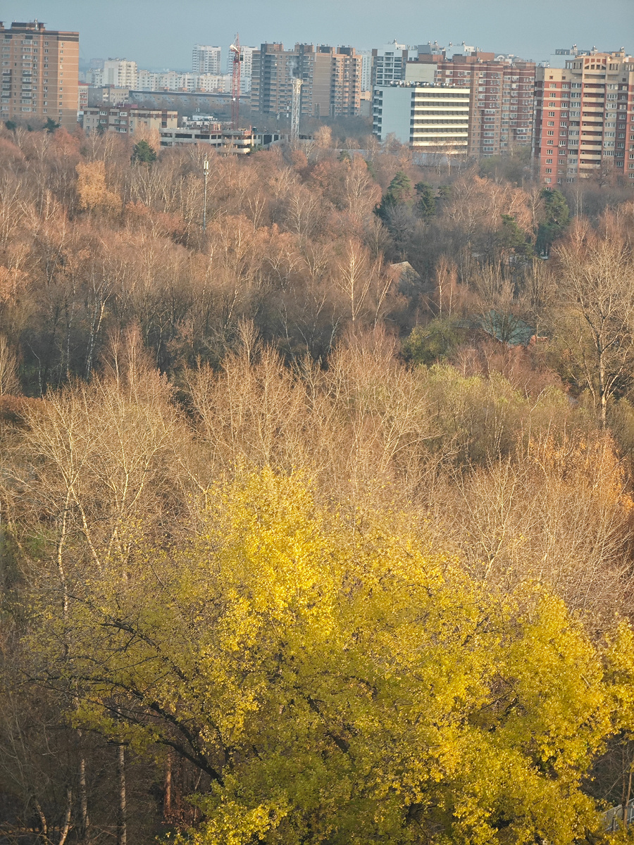 фото автора 2.11.2025