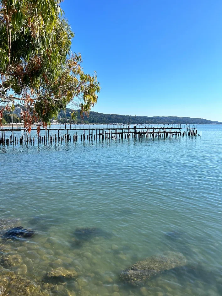 Набережная в сталице Абхазии