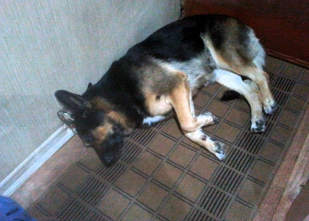 Фото автора