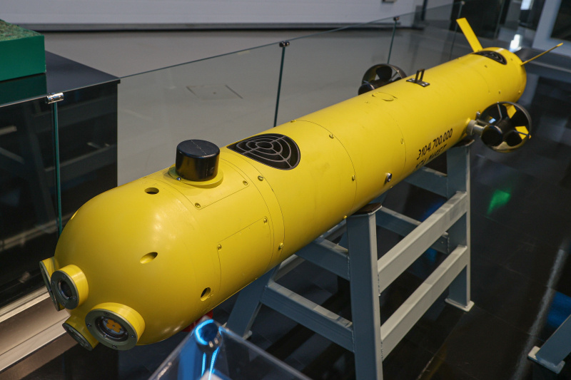    Фото: Bulkin Sergey/news.ru/Global Look Press