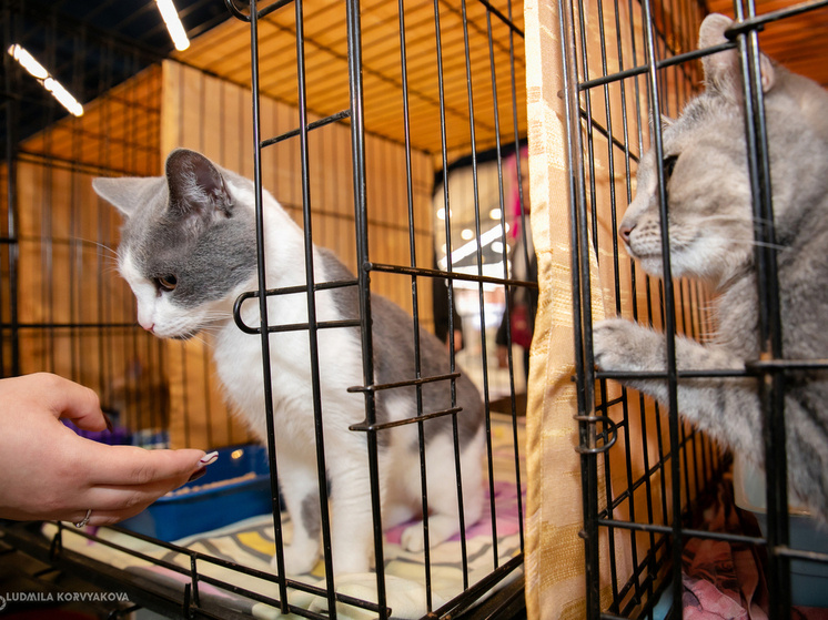     Фото МК в Карелии