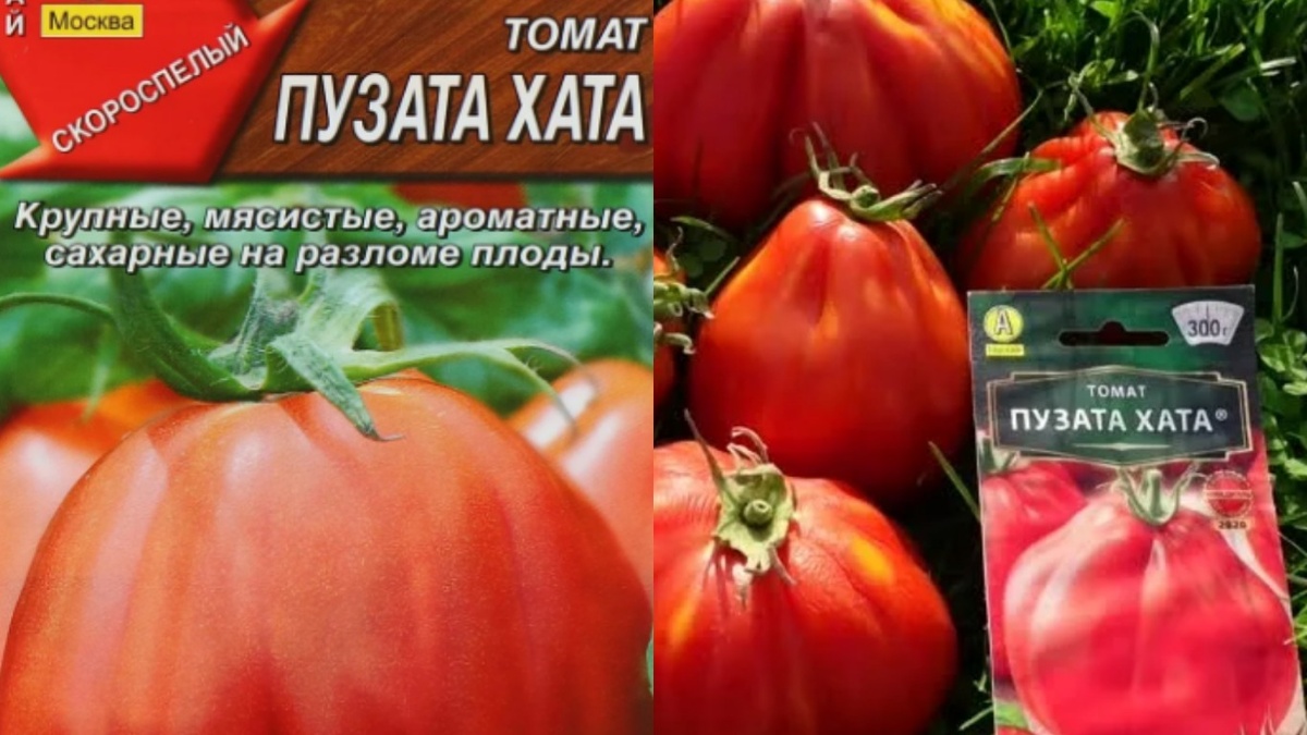 Самые лучшие семена заказал у коллекционера за 120 рублей.