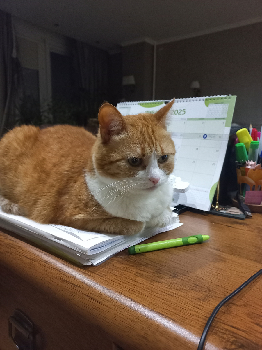 Маруся в задумчивости