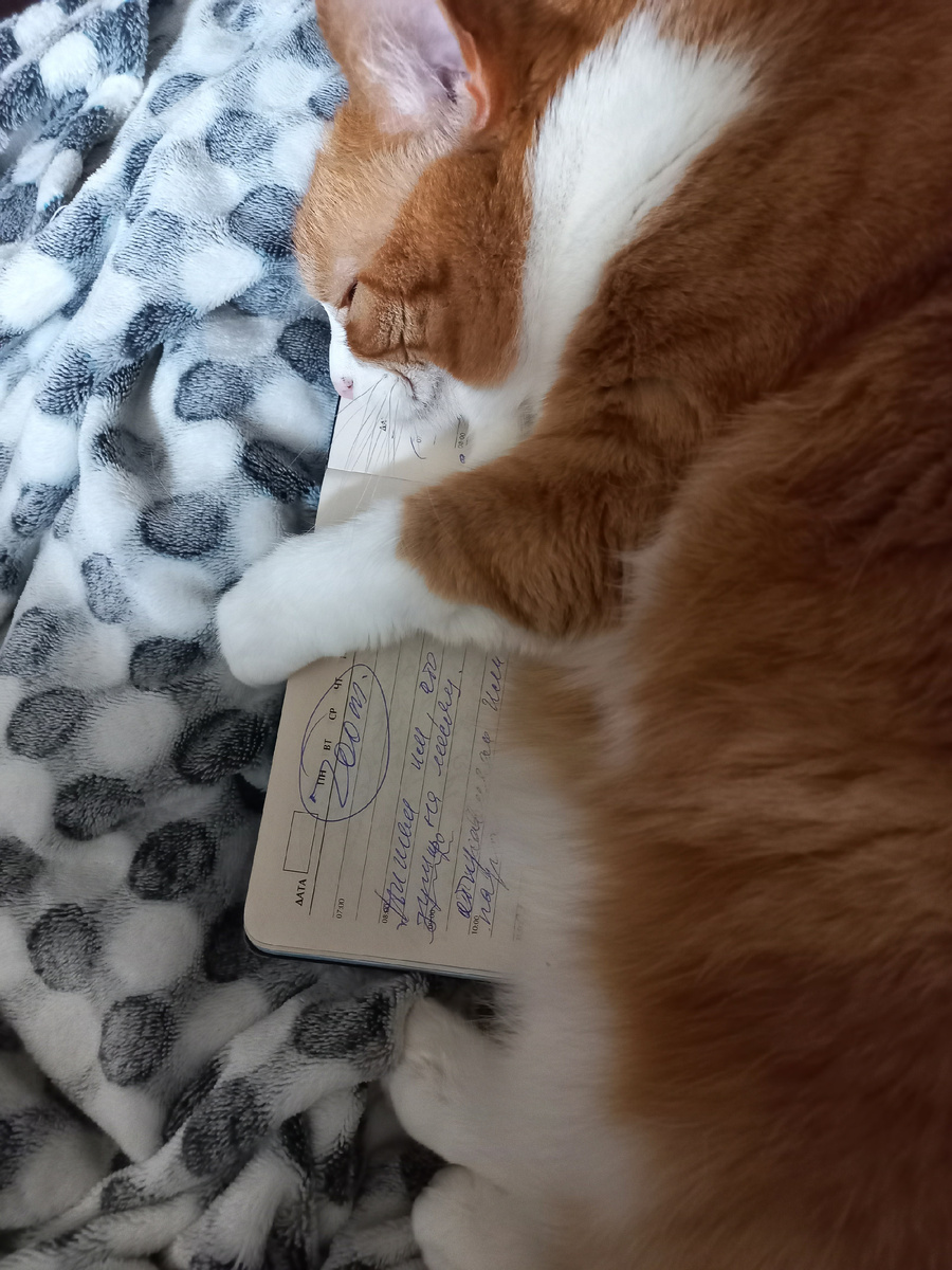 Чтобы хорошо спалось, нужен плед и ежедневник