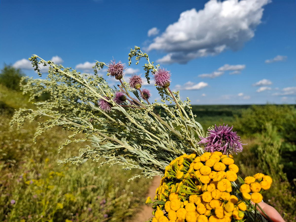 Лето 2025 год