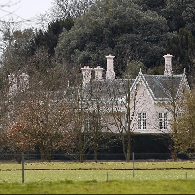 коттедж Аделаида📷
