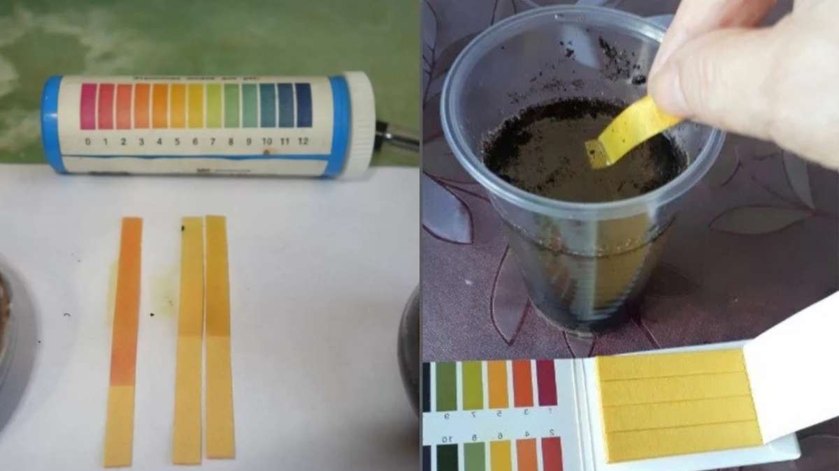 Точное измерение - основа успешного лечения