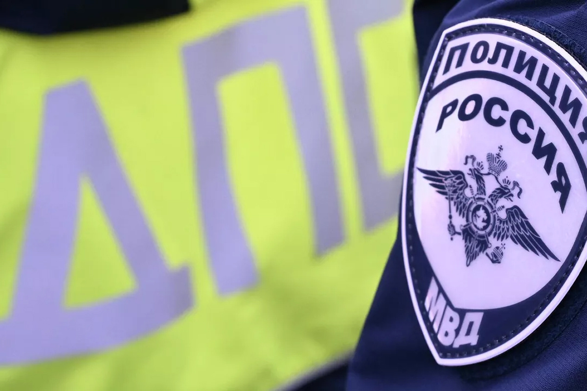    Фото: Максим Богодвид, источник: ria.ru