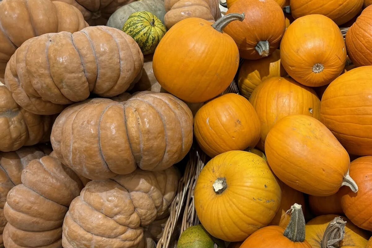 Фото: UfacityNews.ru