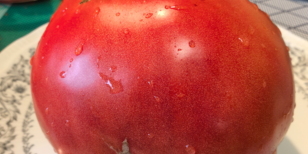 Вот лучшие сорта томатов, для следующего сезона 2026 года( часть 4)