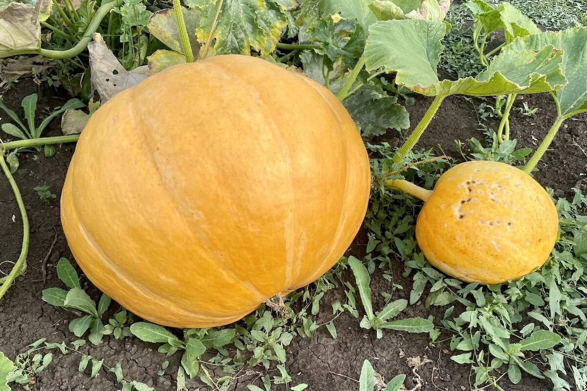 Фото: UfaTime.ru