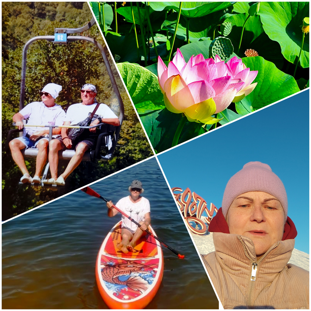 Коллаж автора.