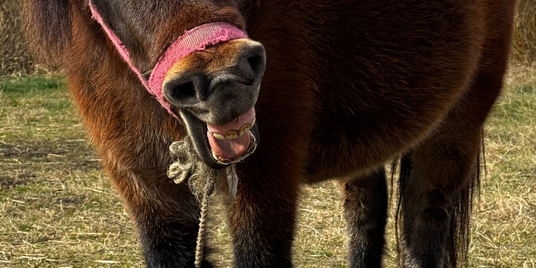 Хотелось бы смотреть на полет орлов свысока?