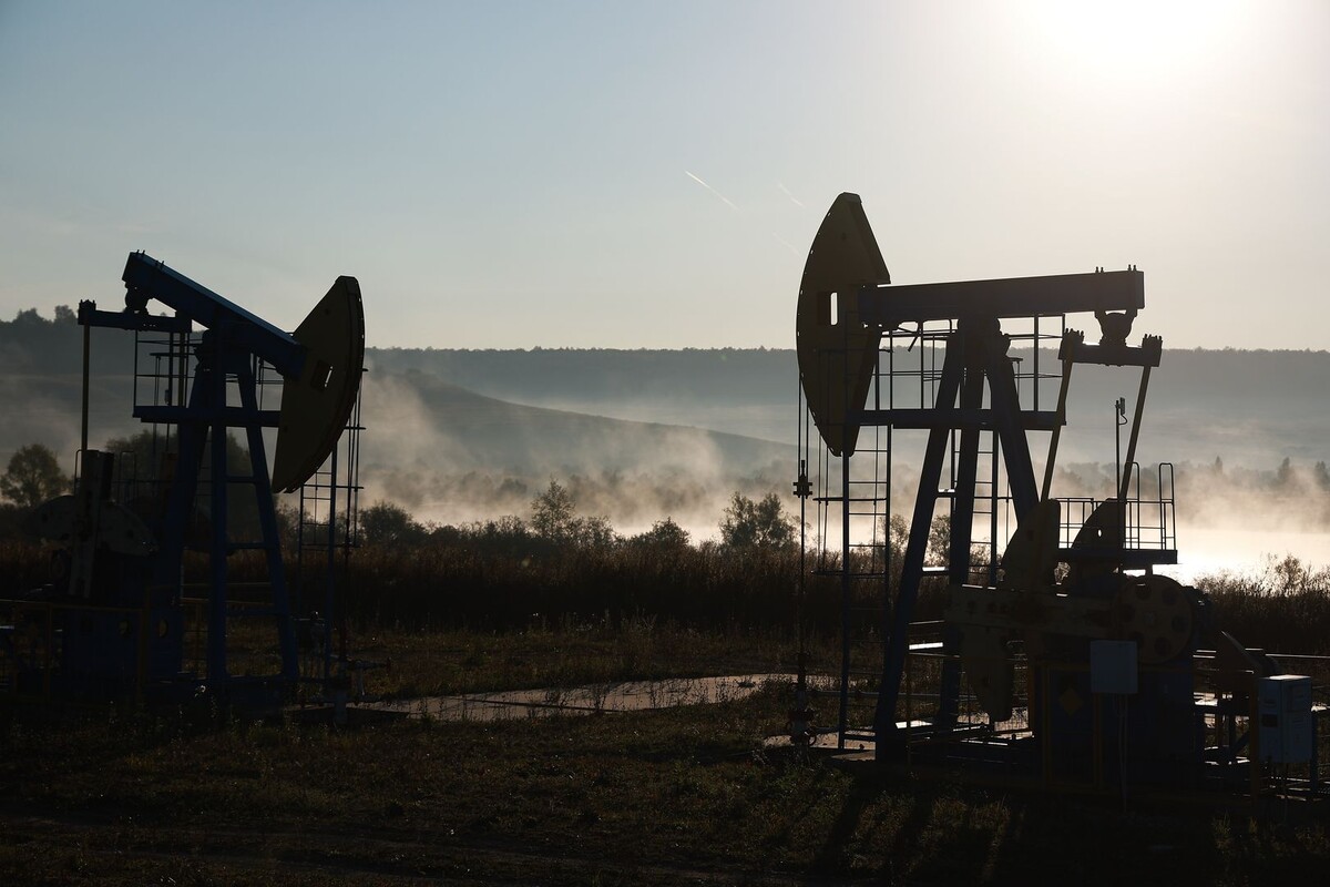     / Источник: © Егор Алеев/ТАСС