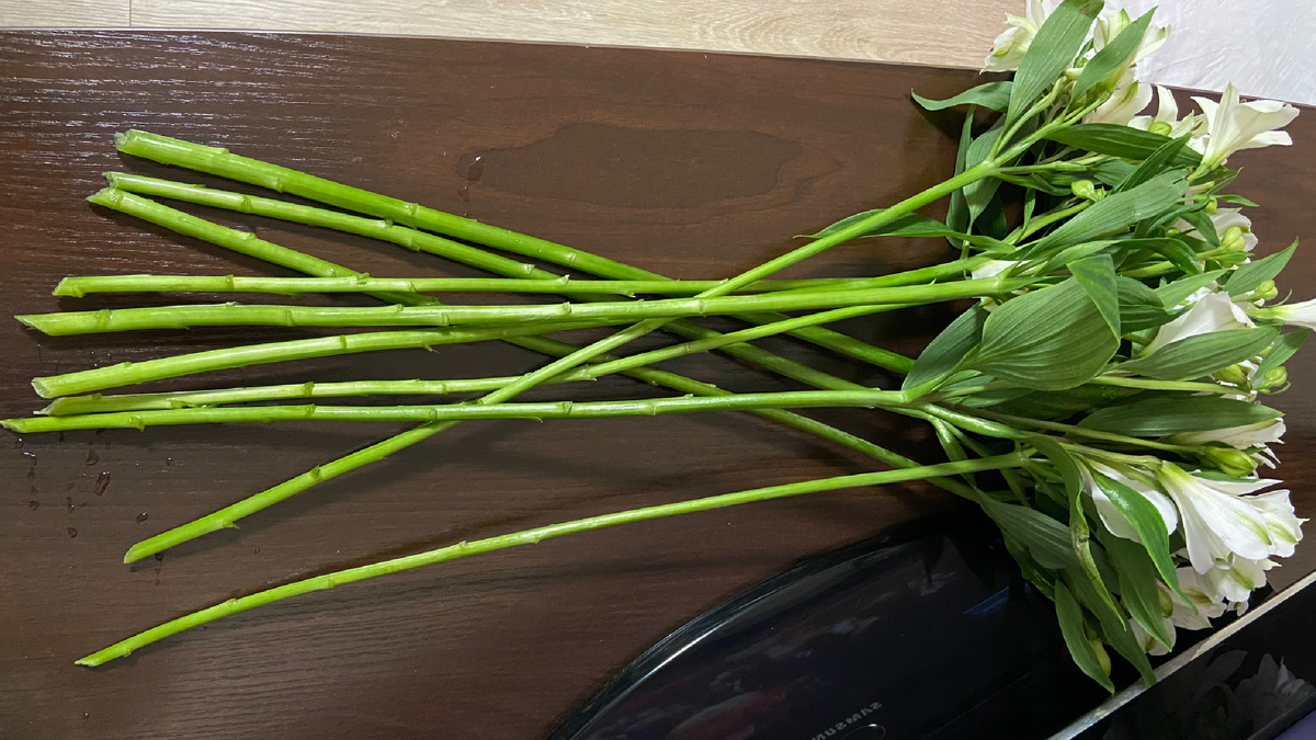 Букет Альстромерий