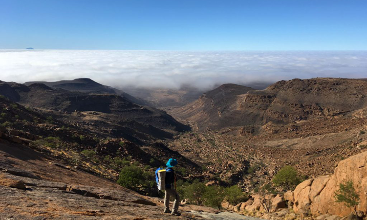 Вид с вершины Брандберга