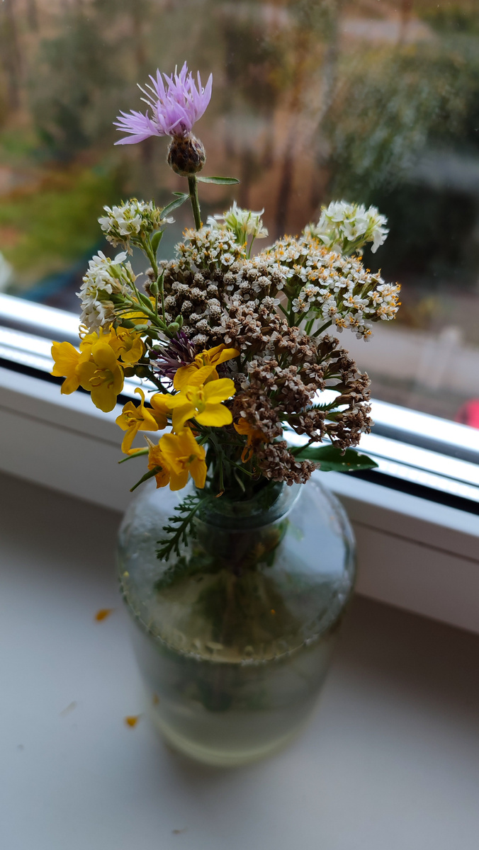 Концептуальные букеты октября от младшего сына. 