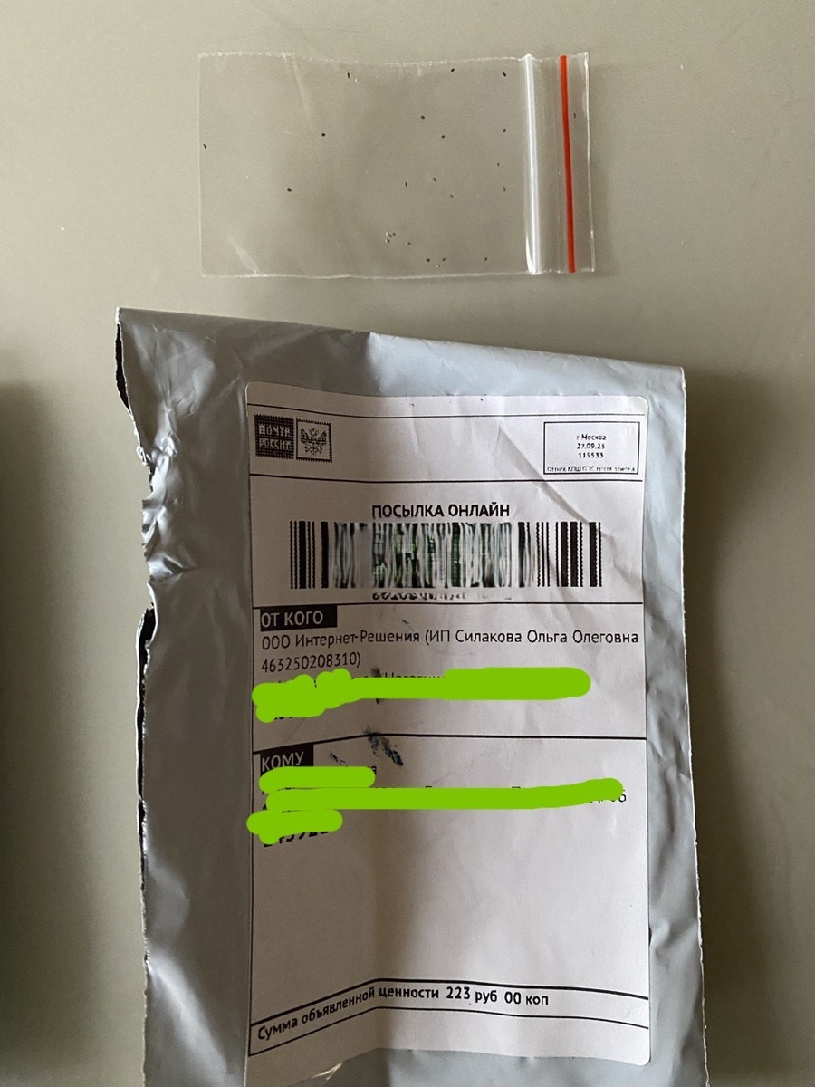 Один из заказов с семенами вместо саженцев, фото автора