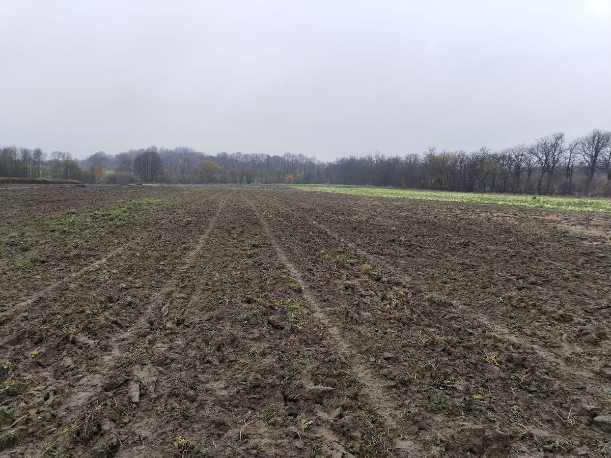 Выбитейшее место, даже я со своими настройками, кроме мусора ничего не нашёл.