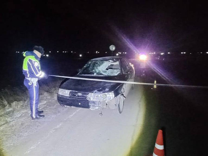     Фото: УГИБДД по Свердловской области
