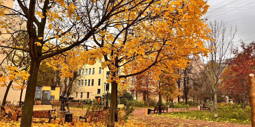 Сколько сейчас стоит погулять с детьми в Санкт-Петербурге? Интересный маршрут 1 дня