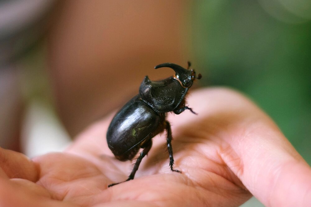    Фото: freepik.com