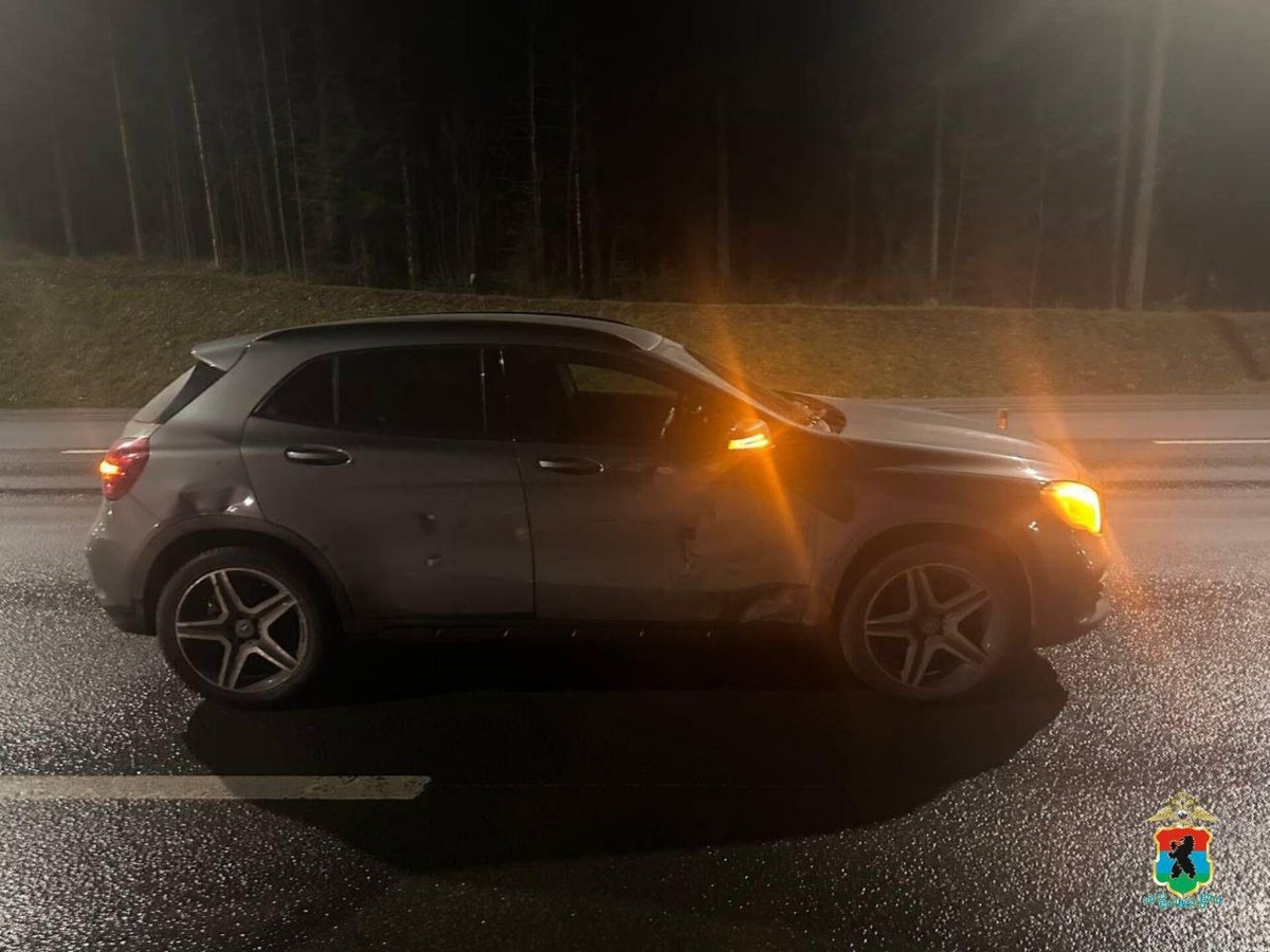    На трассе под Петрозаводском произошло ДТП с участием двух иномарок, есть пострадавший© Полиция Карелии