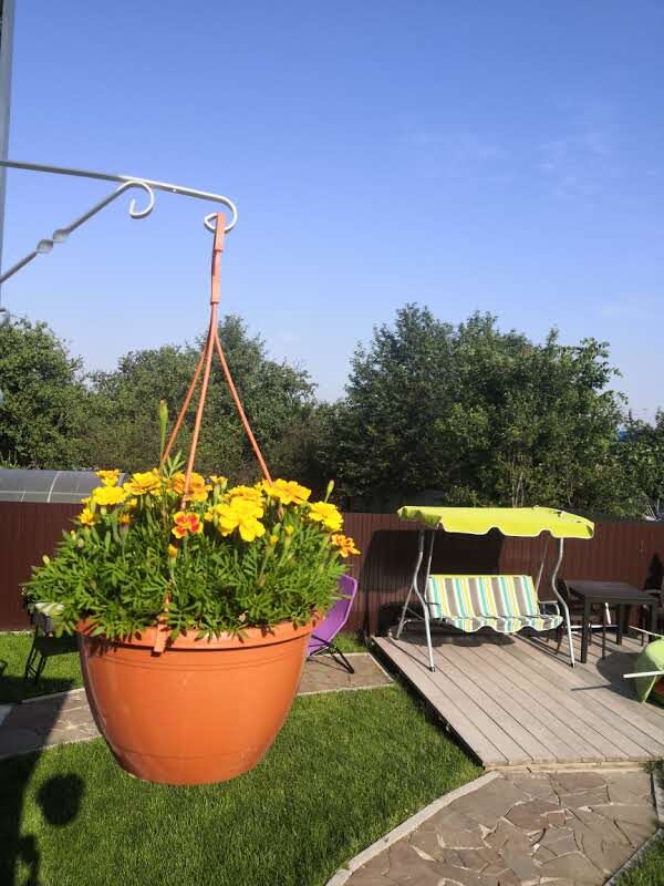 Мои первые цветы в кашпо, еще в старом доме