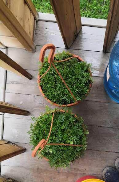 Я радовалась и зелёной массе 