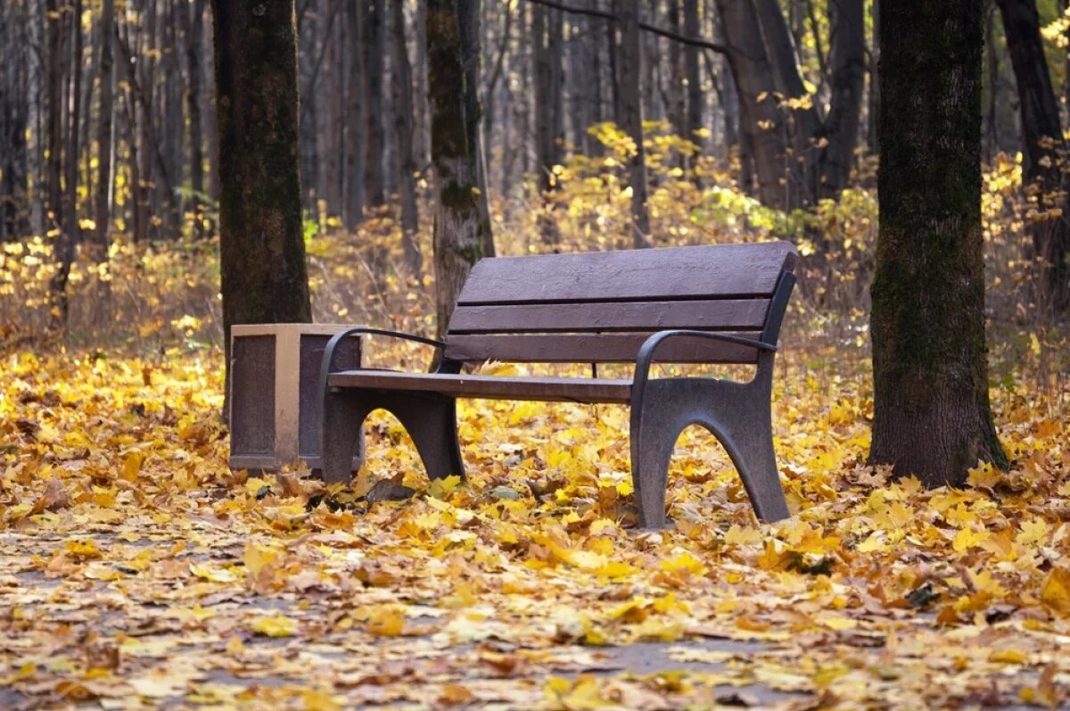    Теплее, теплее, горячо!