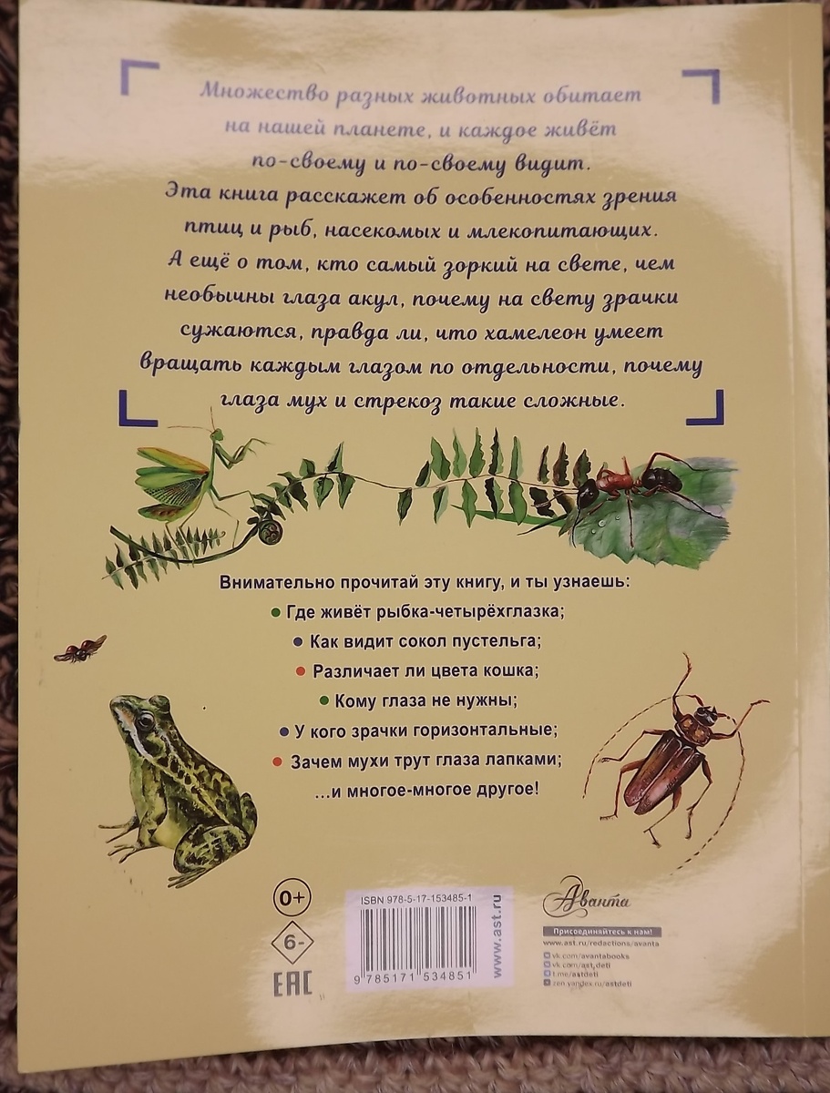 Фото обложки