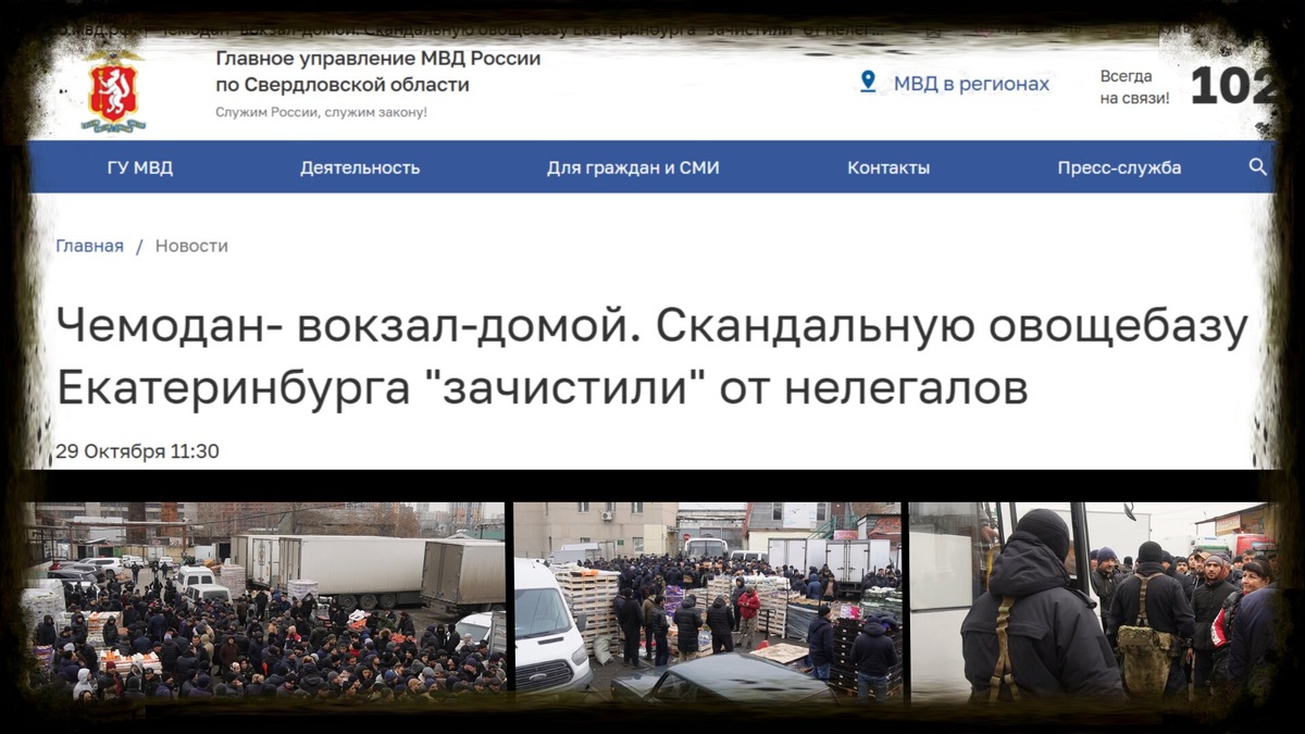 Скриншот с официального сайта МВД