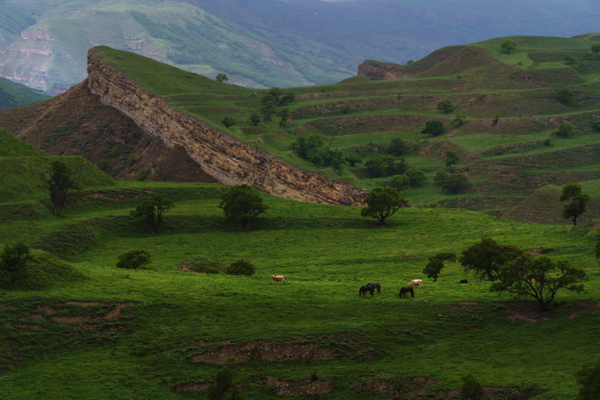 Фото Вместе Тревел, тур в Дагестан