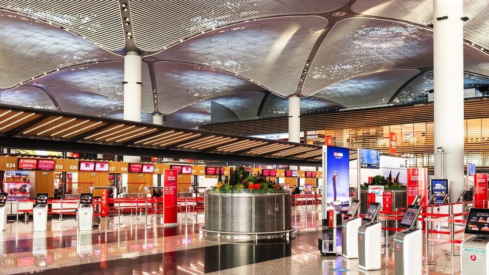    Фото: Dmitry Naumov/Shutterstock/Fotodom