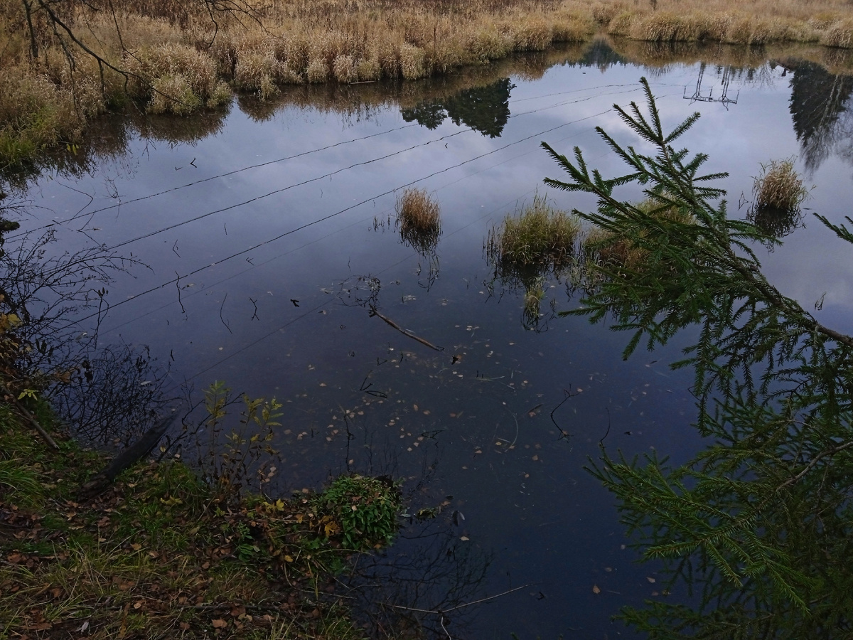 Это не лужа, а могучая река в Подмосковье.