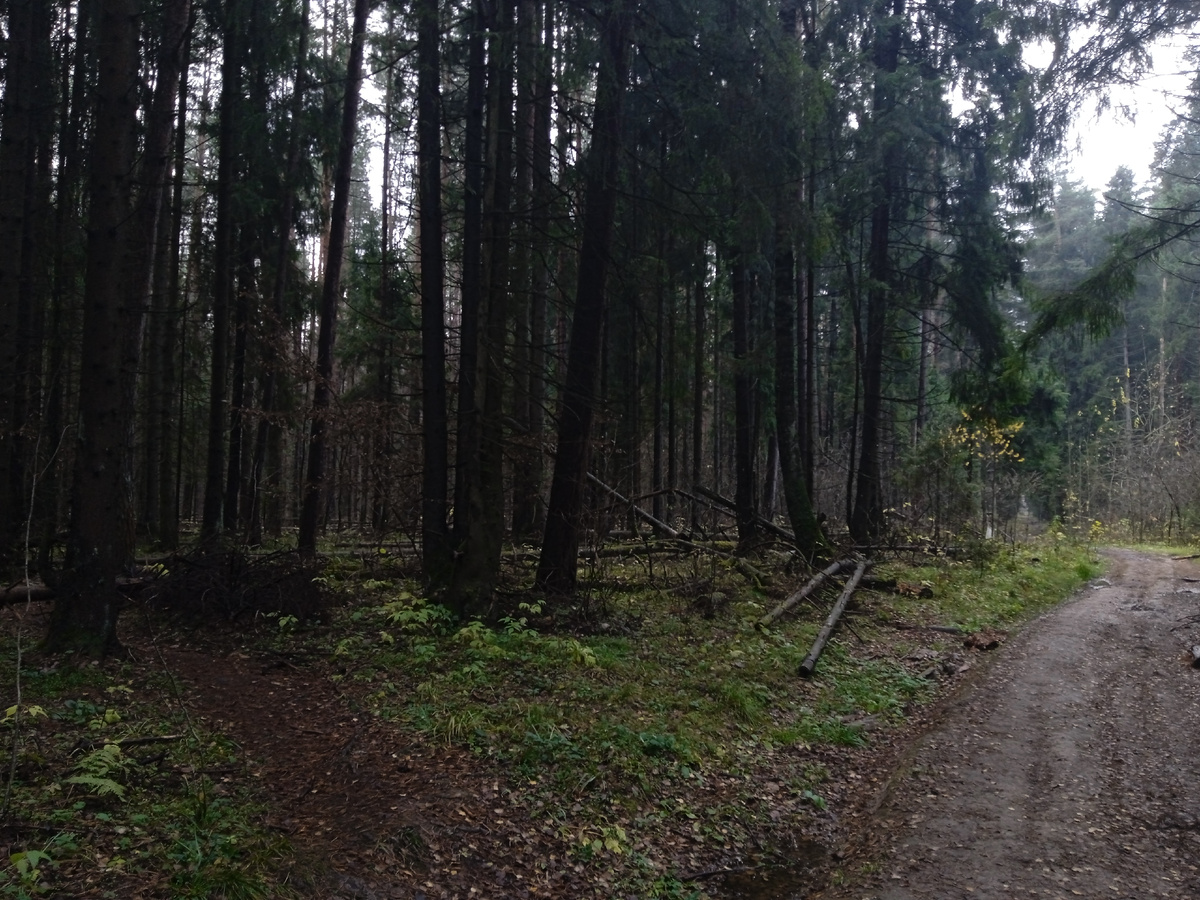 Сюда ещё не добрались любители квадроциклов.