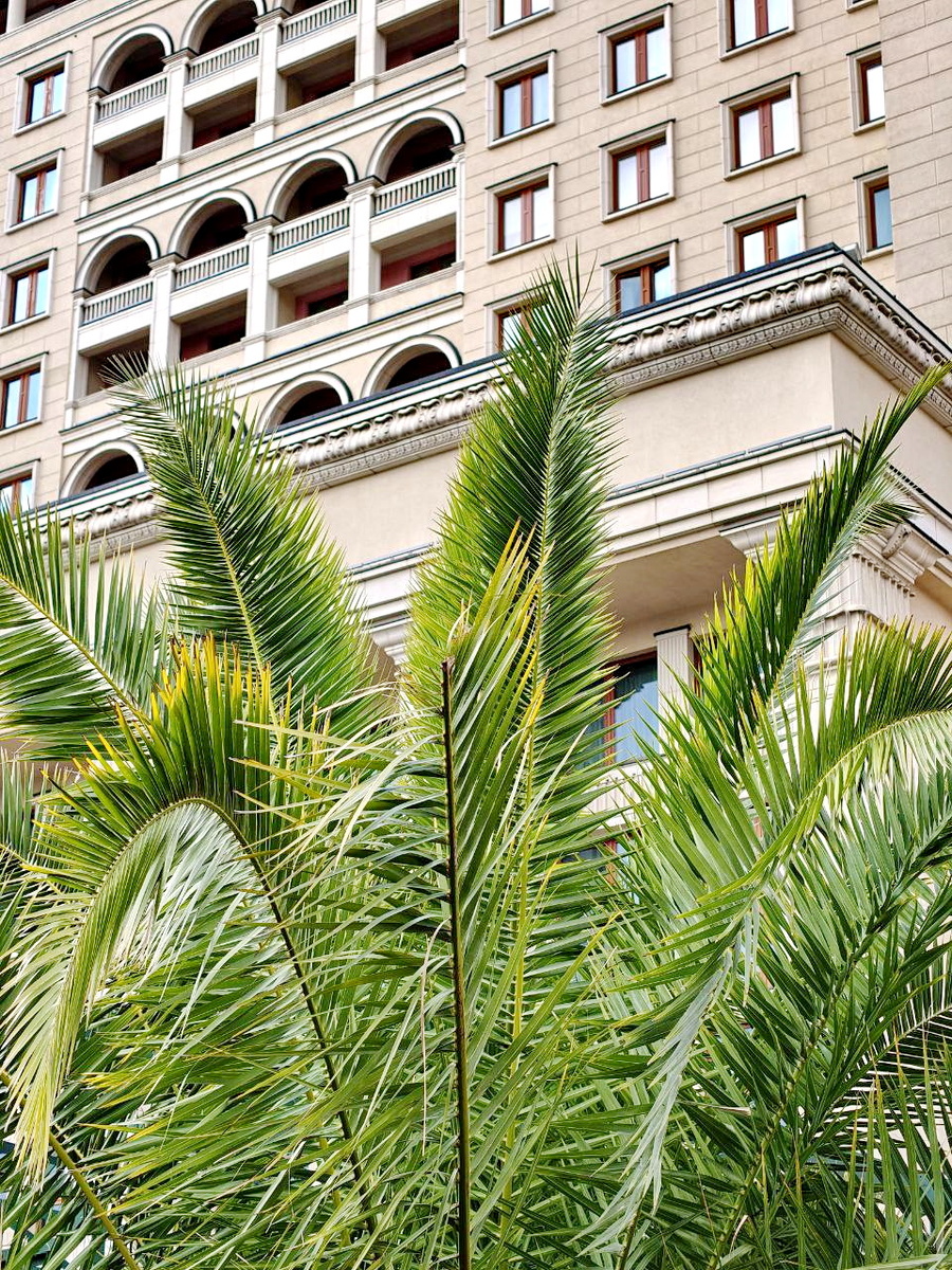 Москва, лето-2025