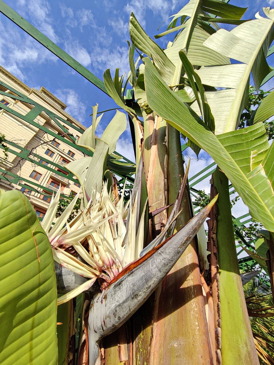 Москва, лето-2025