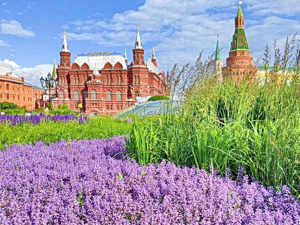 Москва, лето-2025