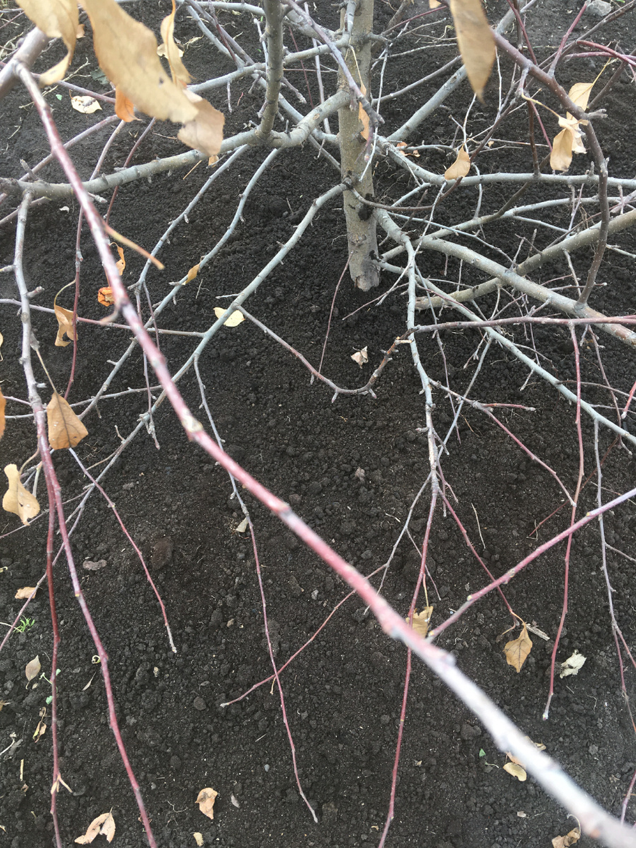 Даже не заметно, что под землёй  что-то есть