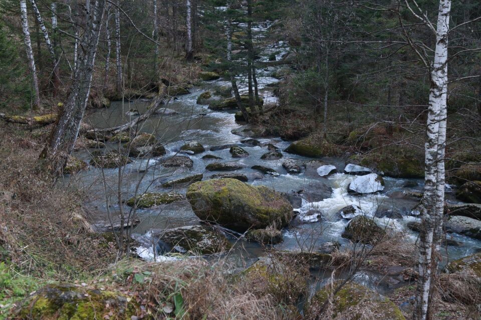    Белокуриха в октябре. Источник: Олег Укладов
