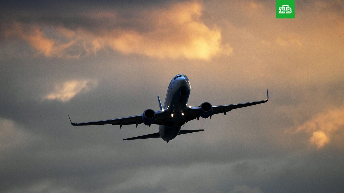    Фото: РИА Новости © 2025, Максим Блинов