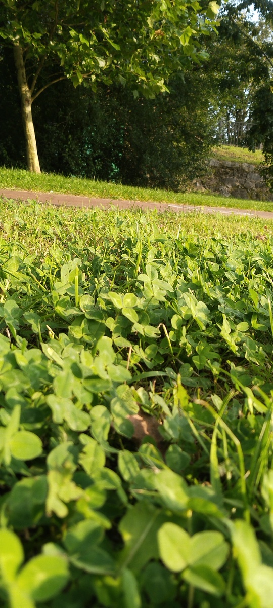 Дочка так фоткает, так видит)