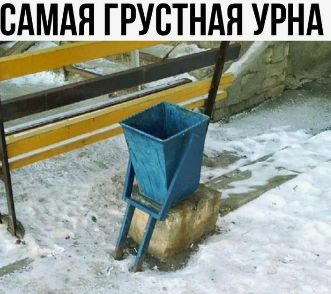 Яндекс картинки