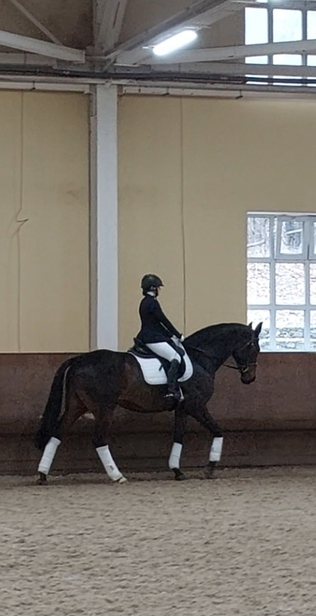 Ну очень красивые