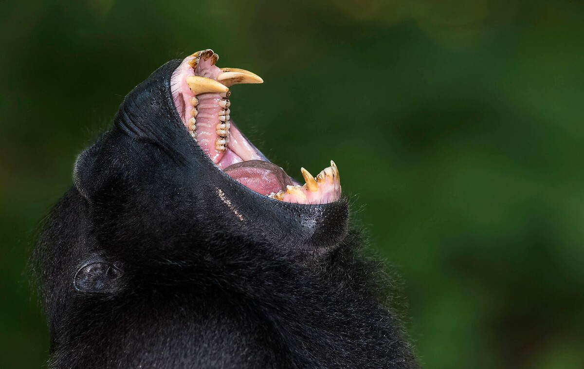     / Источник: © Alf Jacob Nilsen/Global Look Press