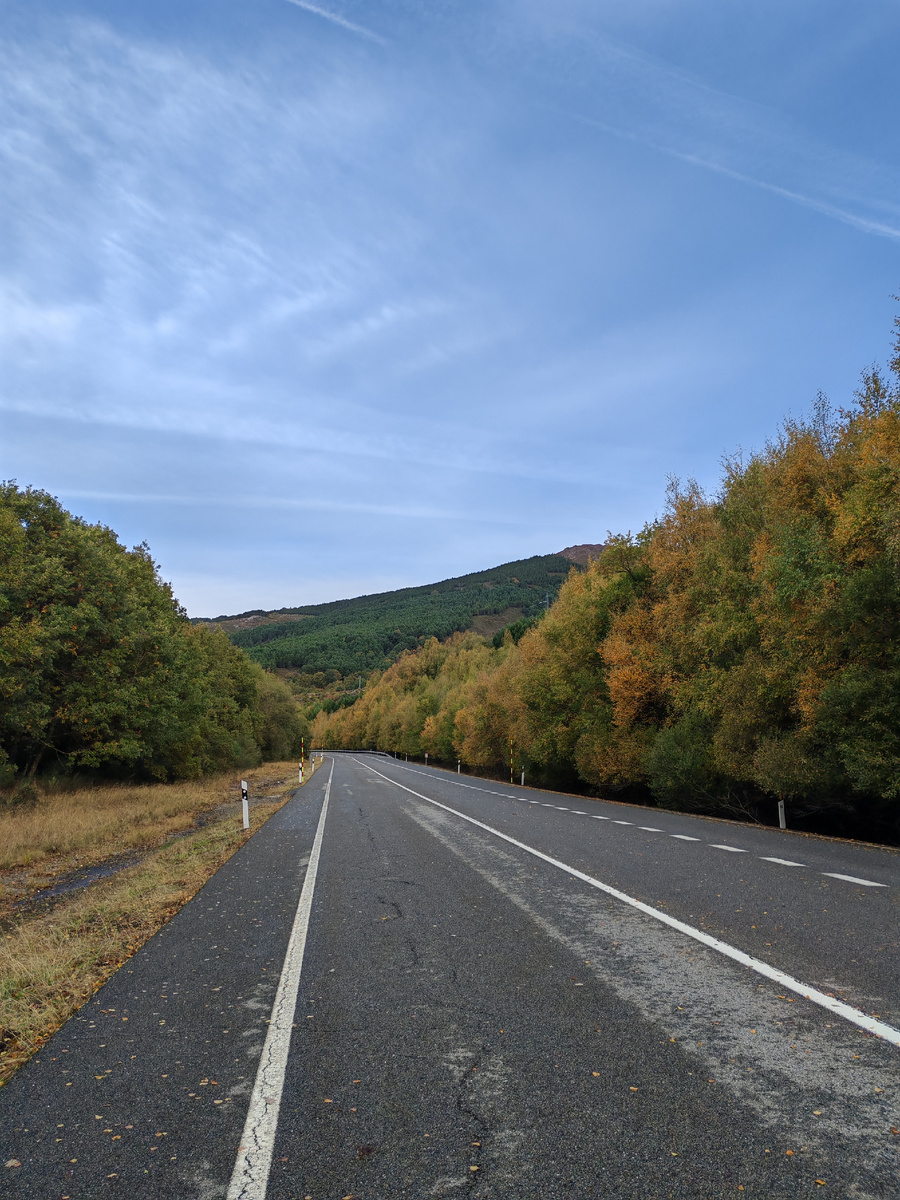 Идем по дороге