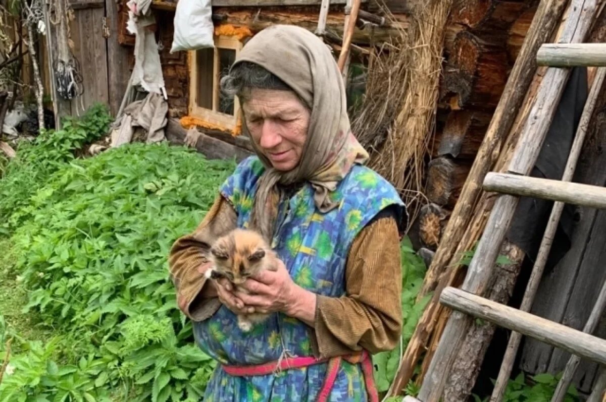    Недавно Агафья Лыкова пристраивала котят