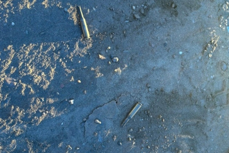    Фото из паблика "У нас на Шлюзе"