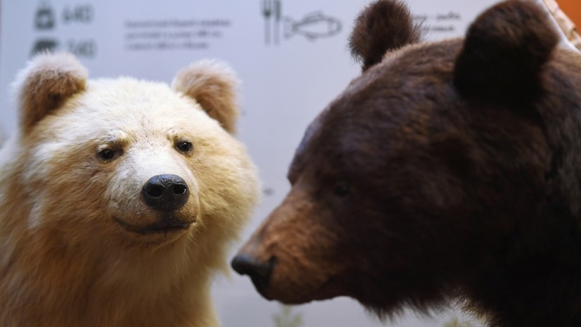   РИА Новости